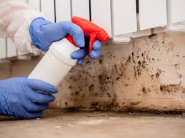 Biohazard Mold Removal in Sparta, TN